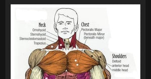 How to GROW your CHEST